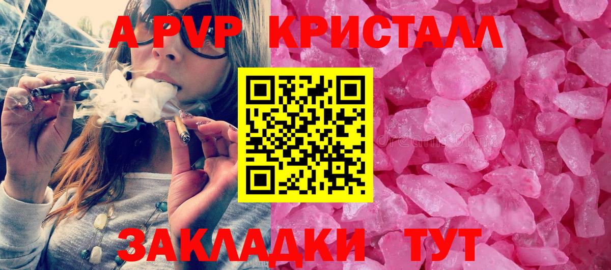 A PVP СК КРИС Самара